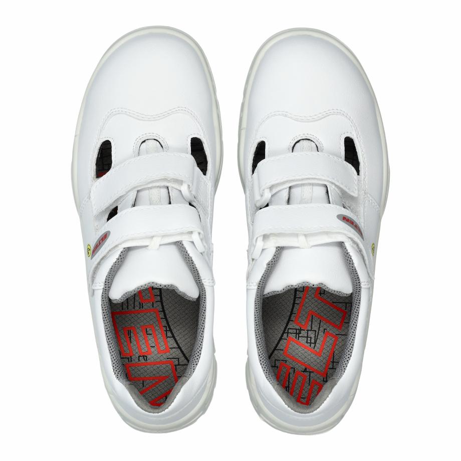White Easy Low