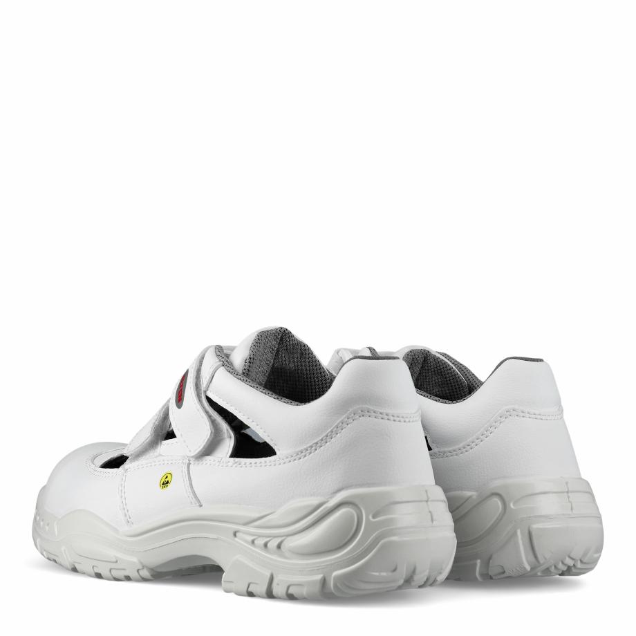White Easy Low