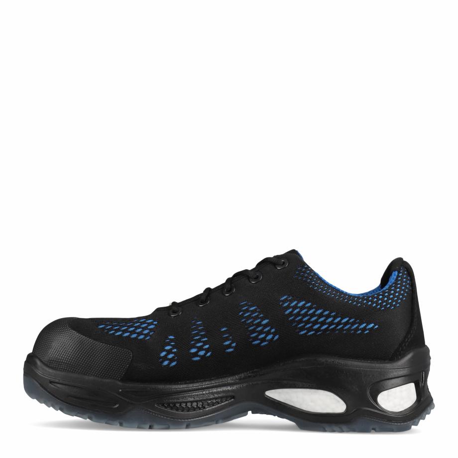 Logan Blue Low