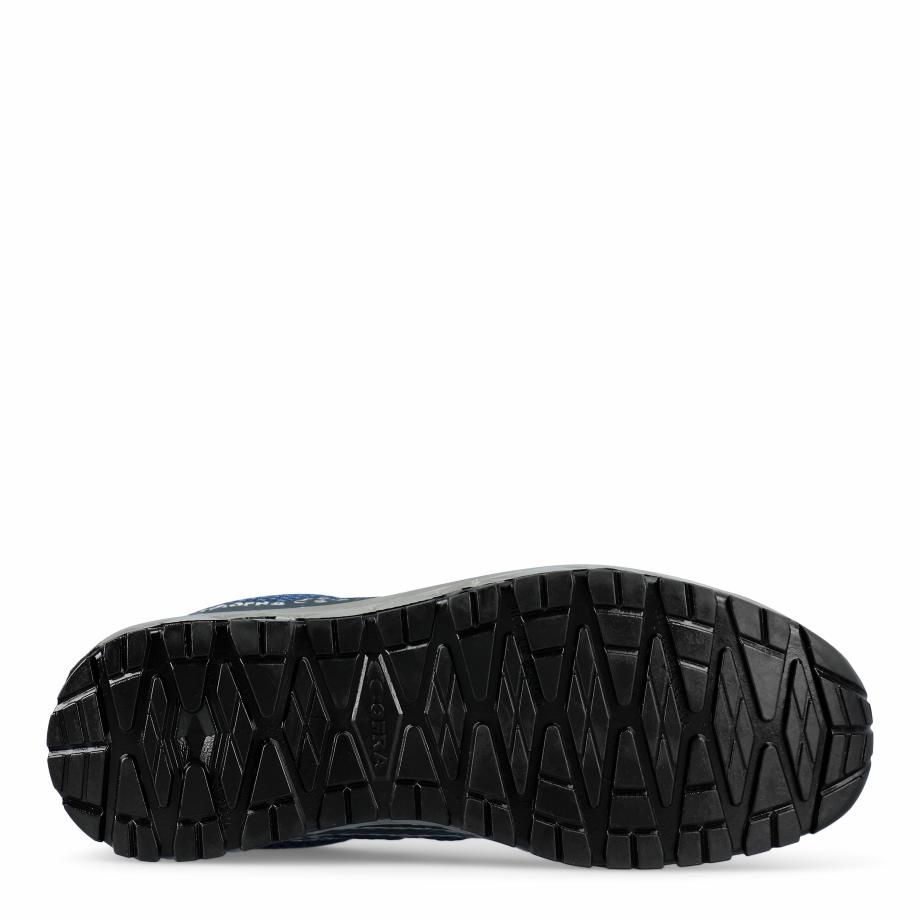 Trapezius Blue