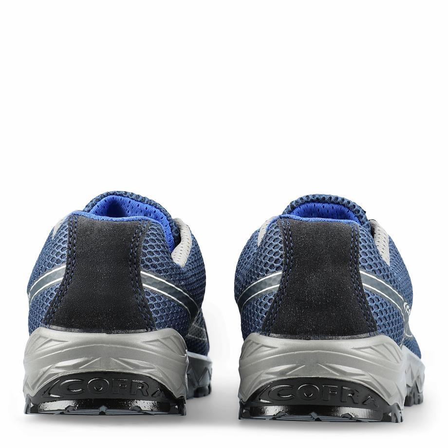 Trapezius Blue